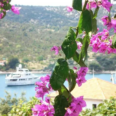 Charming In With Parking Included Apartament *