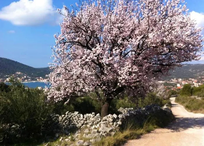 Charming In With Parking Included *